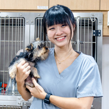 Advanced VetCare
