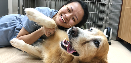 Advanced VetCare
